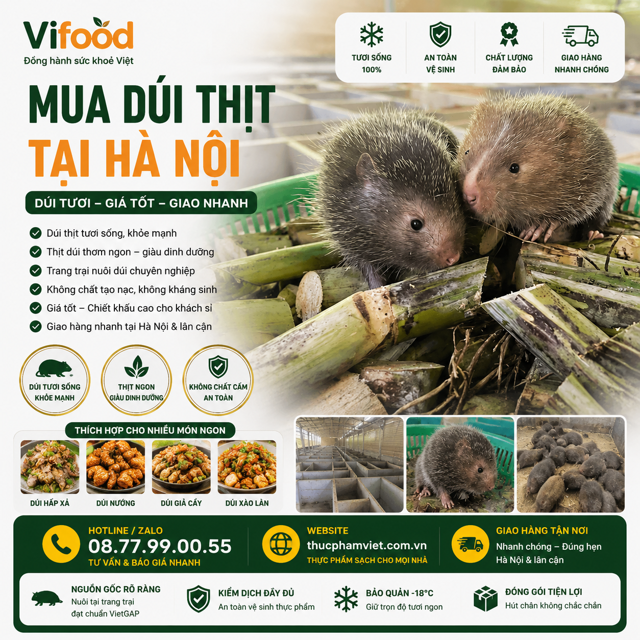 Mua Dúi Thịt Ở Hà Nội