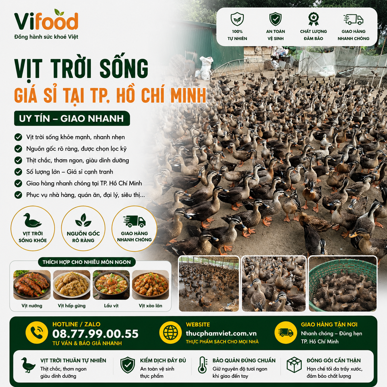 Địa Chỉ Bán Vịt Trời Sống Giá Sỉ TPHCM