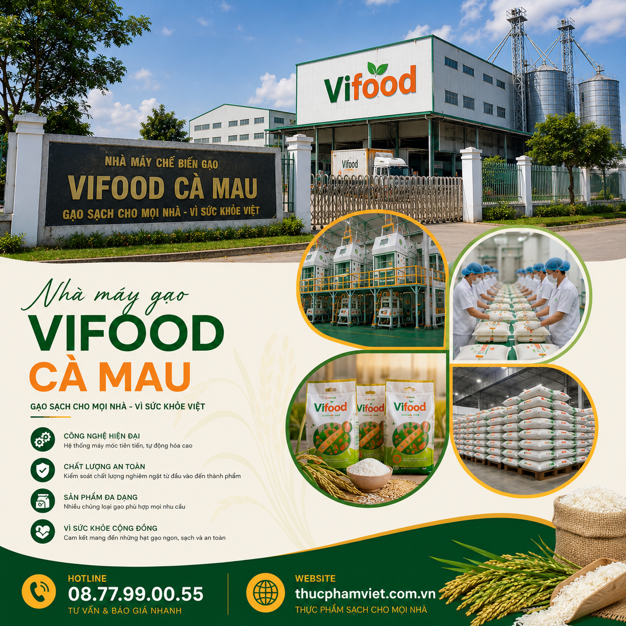 Nhà Máy Gạo VIFOOD Tại Cà Mau 🌾 Chuyên Gạo Ngon Giá Sỉ