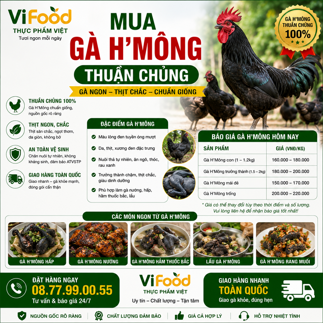 Địa Chỉ Bán Gà H'Mông Thuần Chủng Uy Tín, Giá Tốt