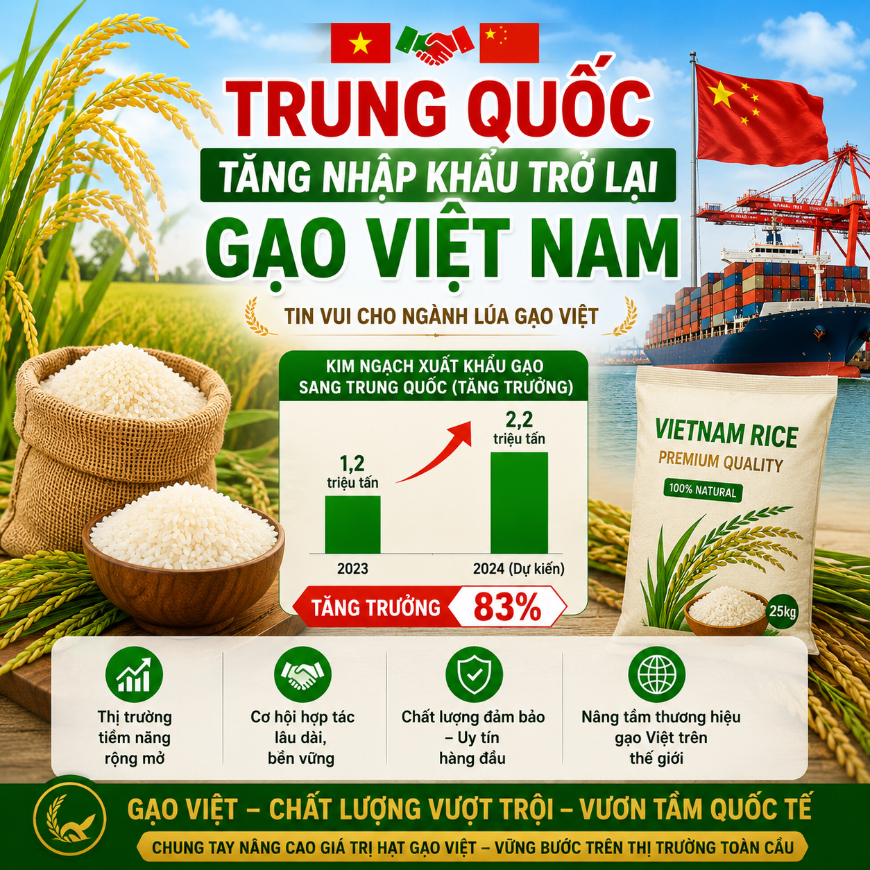 Trung Quốc Tăng Nhập Khẩu Trở Lại Gạo Việt Nam