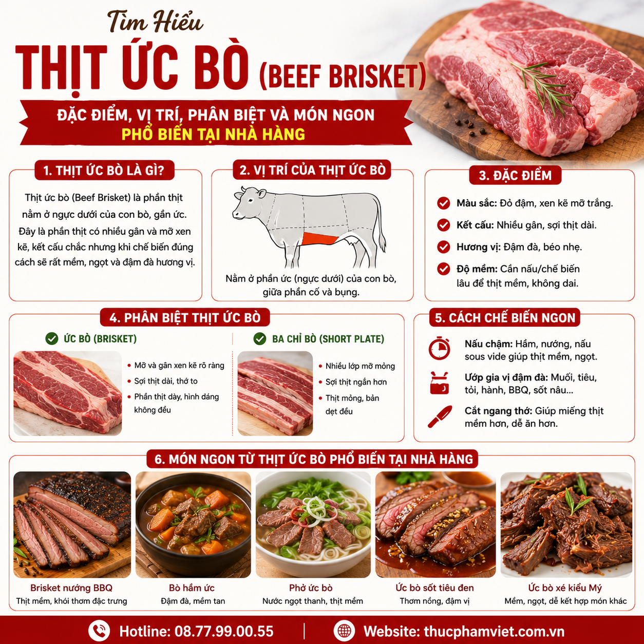 Tìm Hiểu Thịt Ức Bò (Beef Brisket): Đặc Điểm, Vị Trí, Phân Biệt Và Món Ngon Phổ Biến Tại Nhà Hàng
