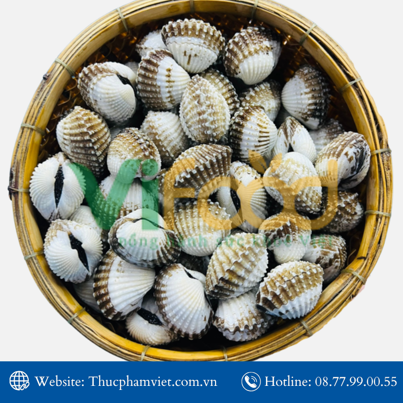 Địa chỉ mua hải sản tươi sống tại Phường Khánh Hội