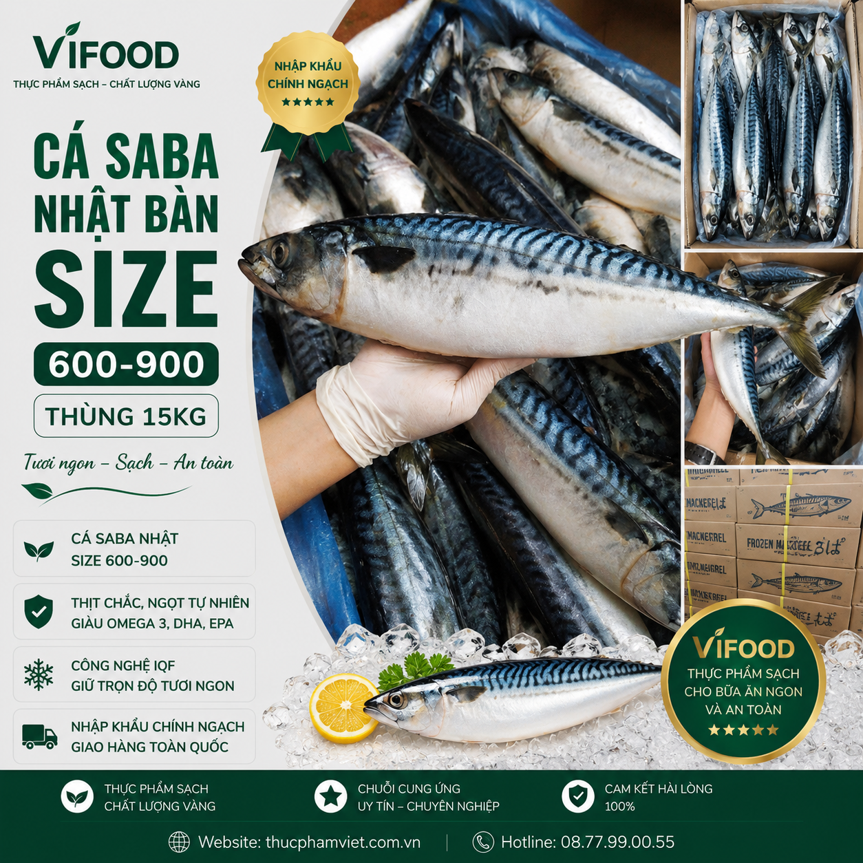 Cá Saba Nhật Size 600-900