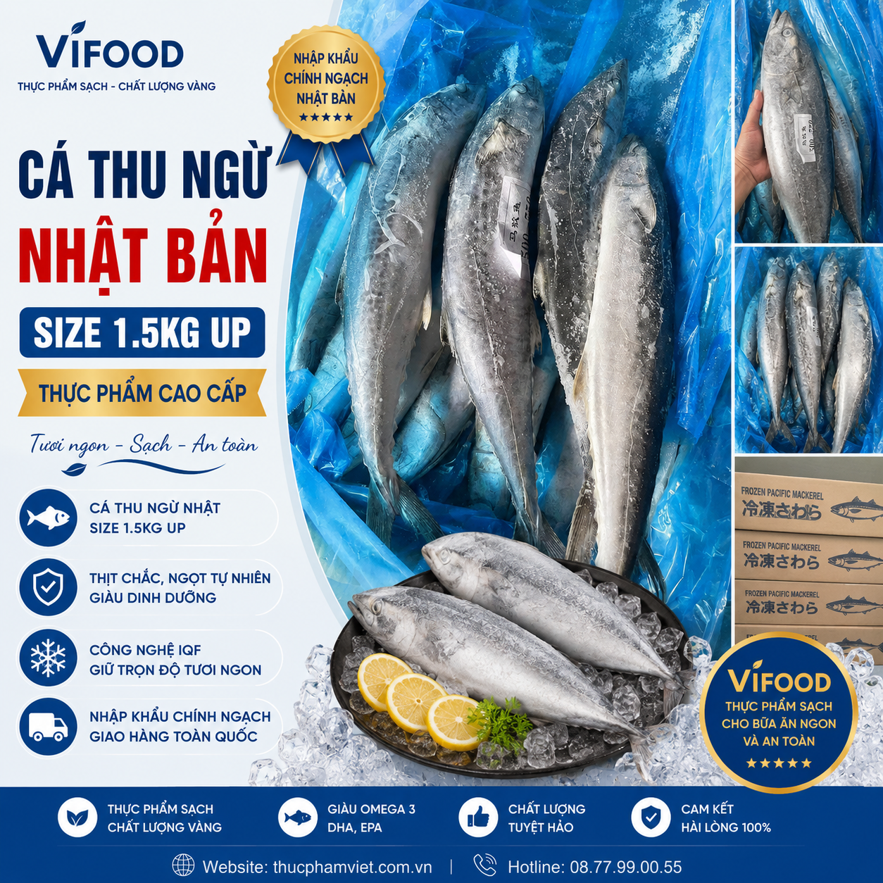 Cá Thu Ngừ Nhật Size 1.5kg Up