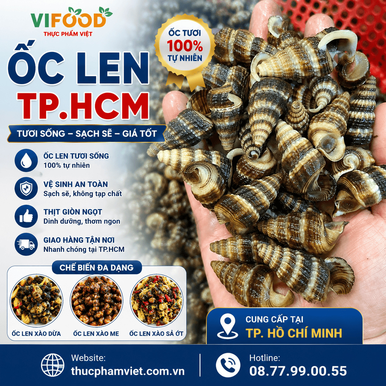 Mua Ốc Len Ở TP.HCM | Địa Chỉ Bán Ốc Len Tươi Sống Giá Sỉ, Giao Nhanh