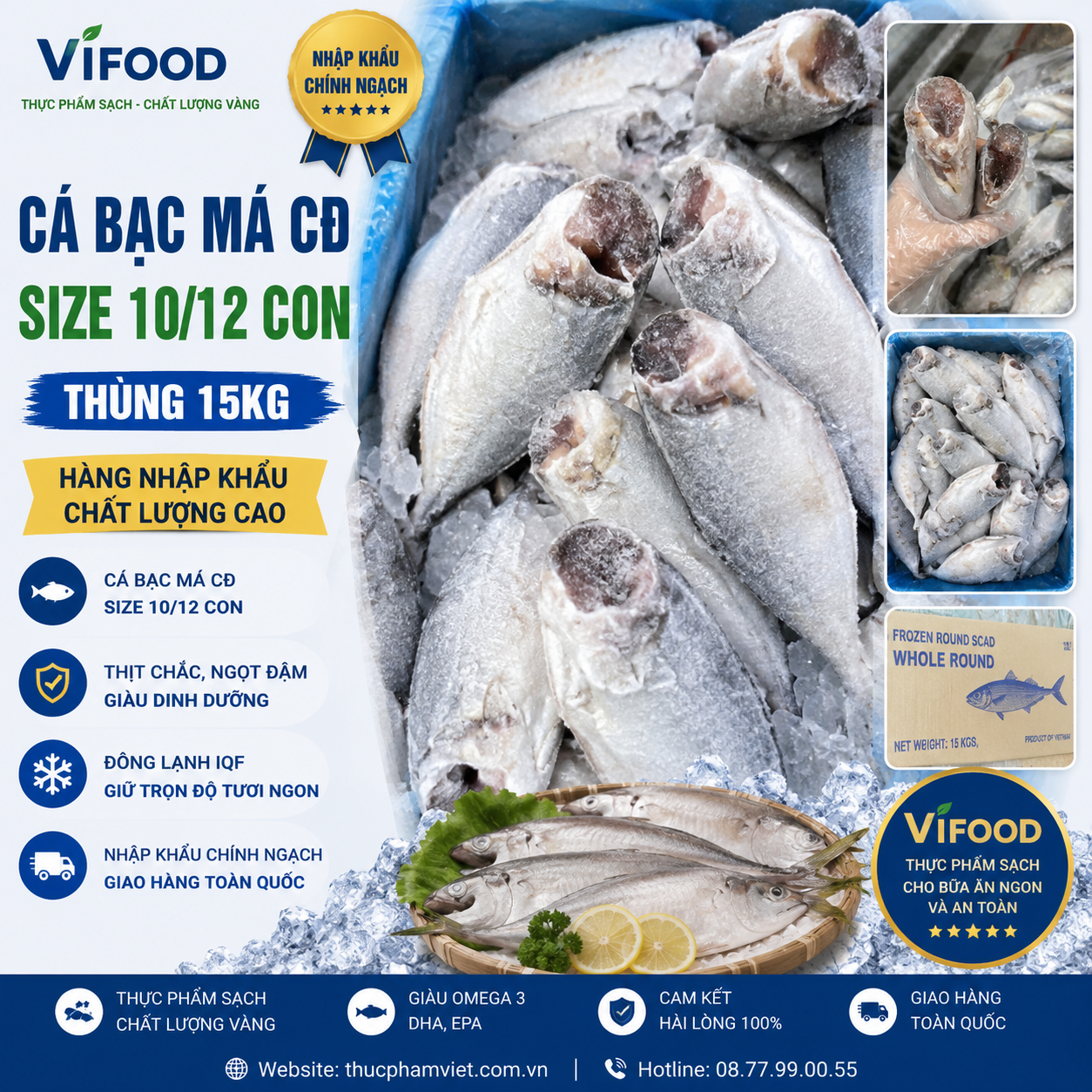 Cá Bạc Má CĐ Size 10/12 Con