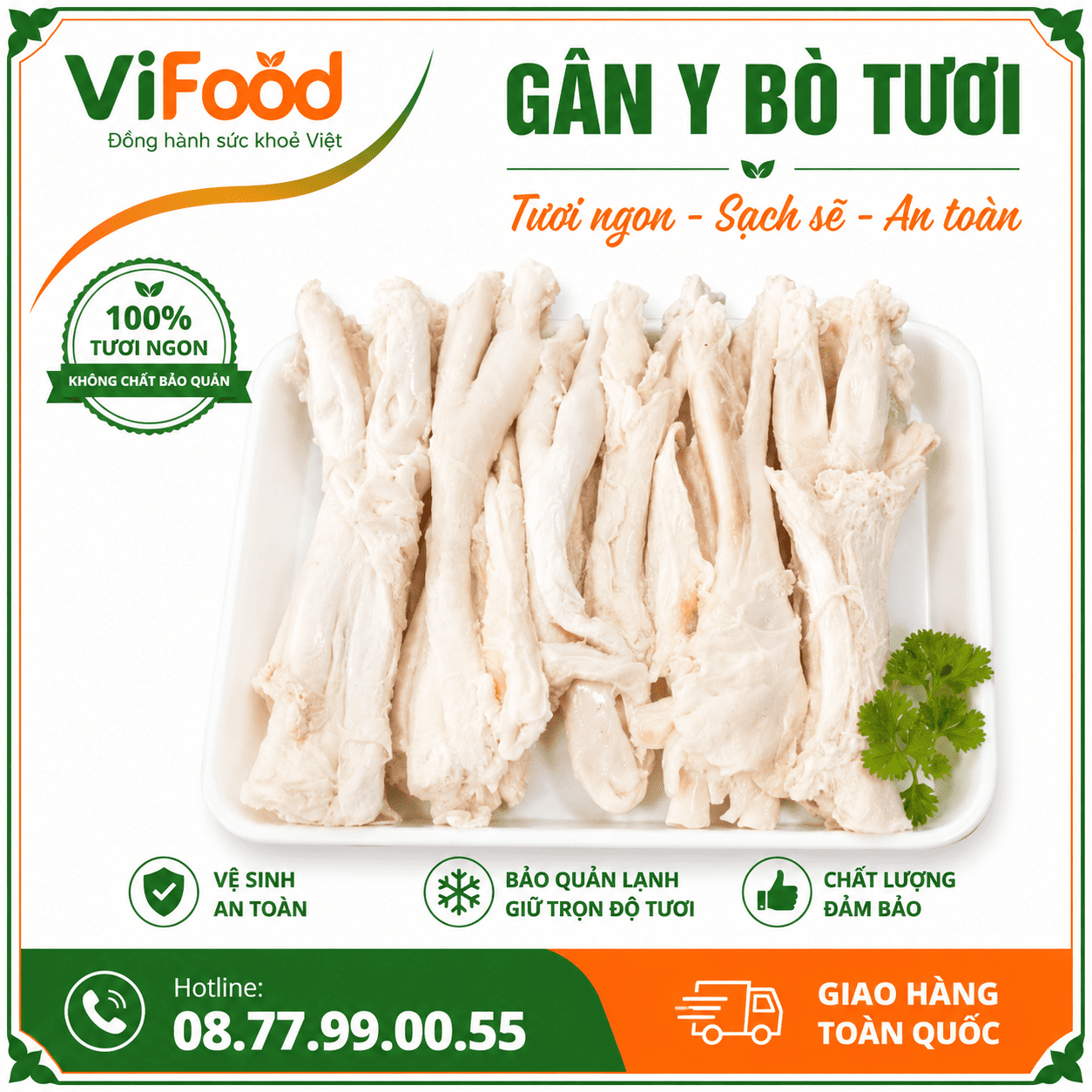 Gân Y tươi