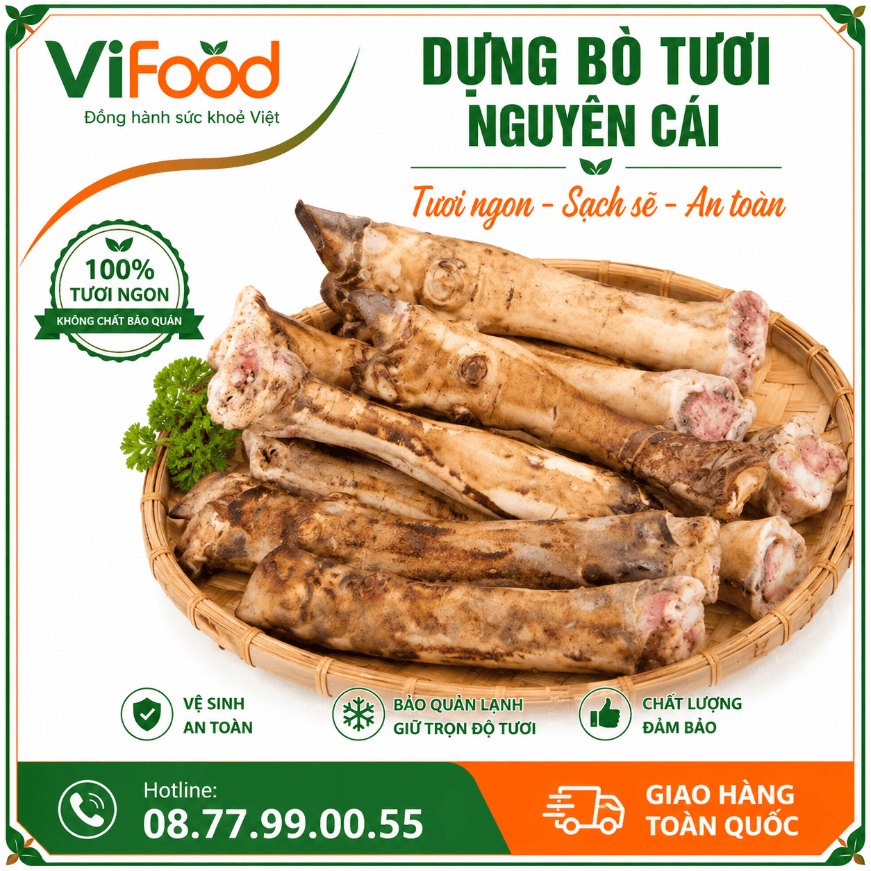 Dựng bò nguyên cái