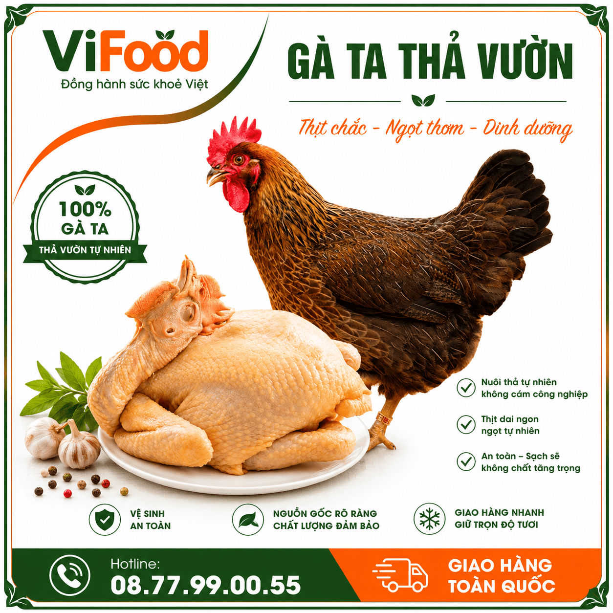Gà ta thả vườn