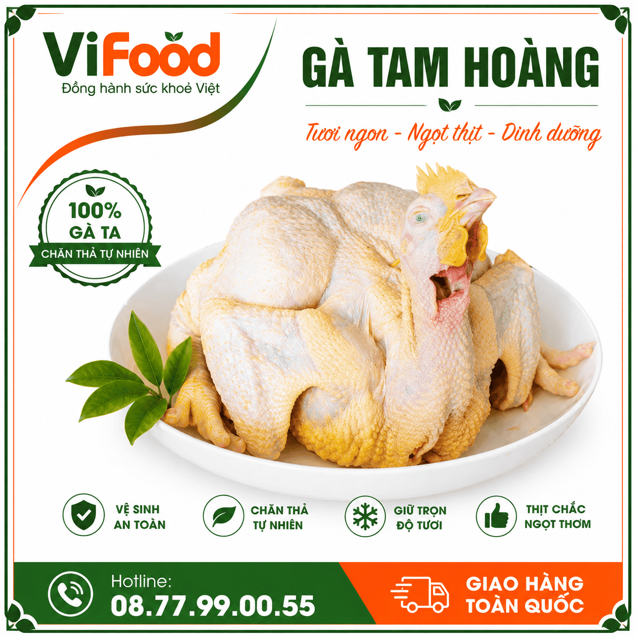 Gà tam hoàng