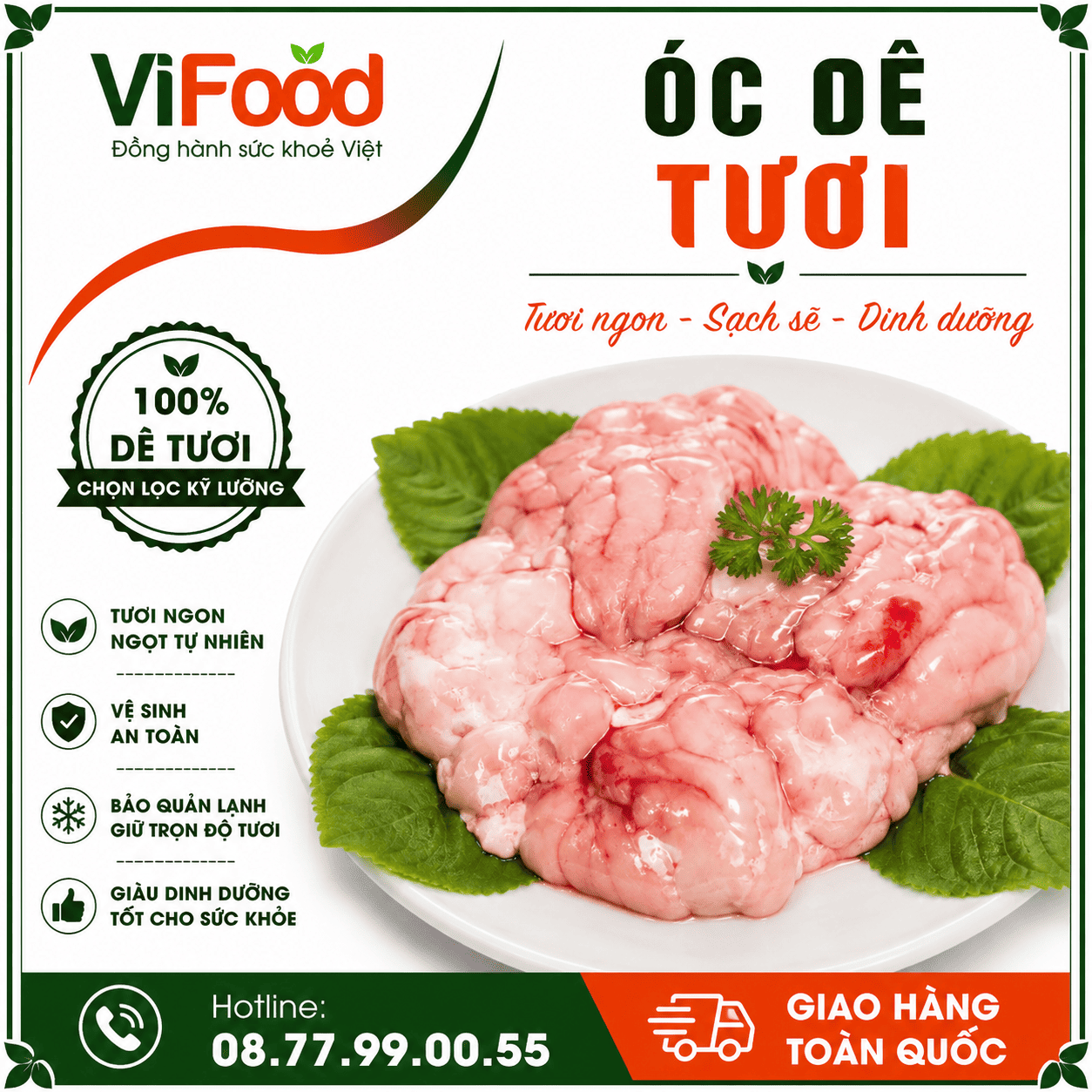 Óc dê tươi