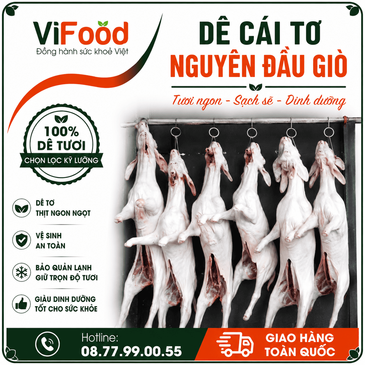 Dê cái tơ nguyên đầu giò