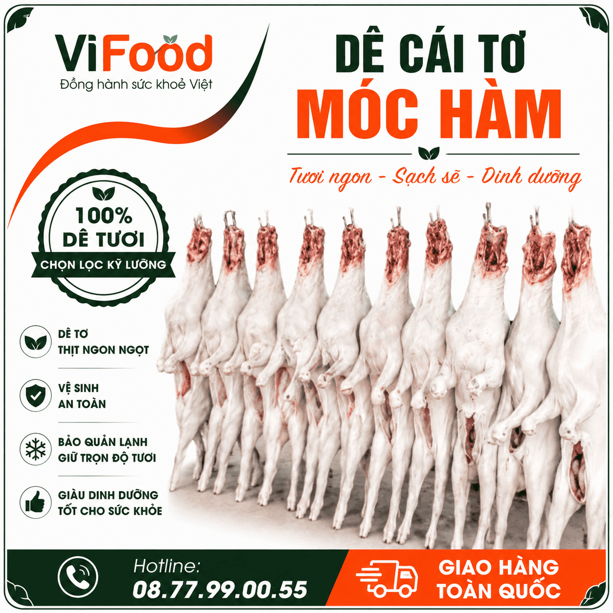 Dê cái tơ móc hàm