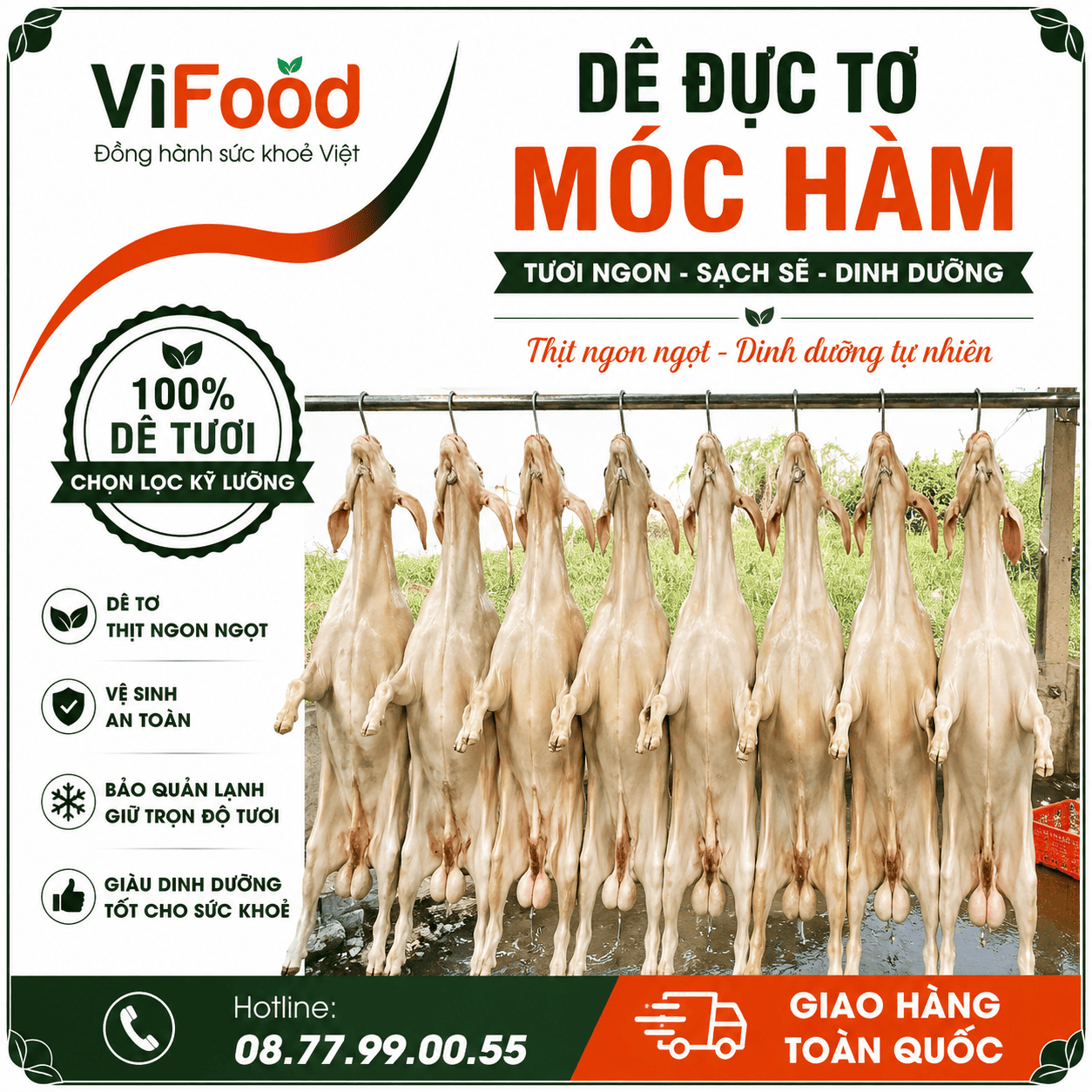 Dê đực tơ móc hàm