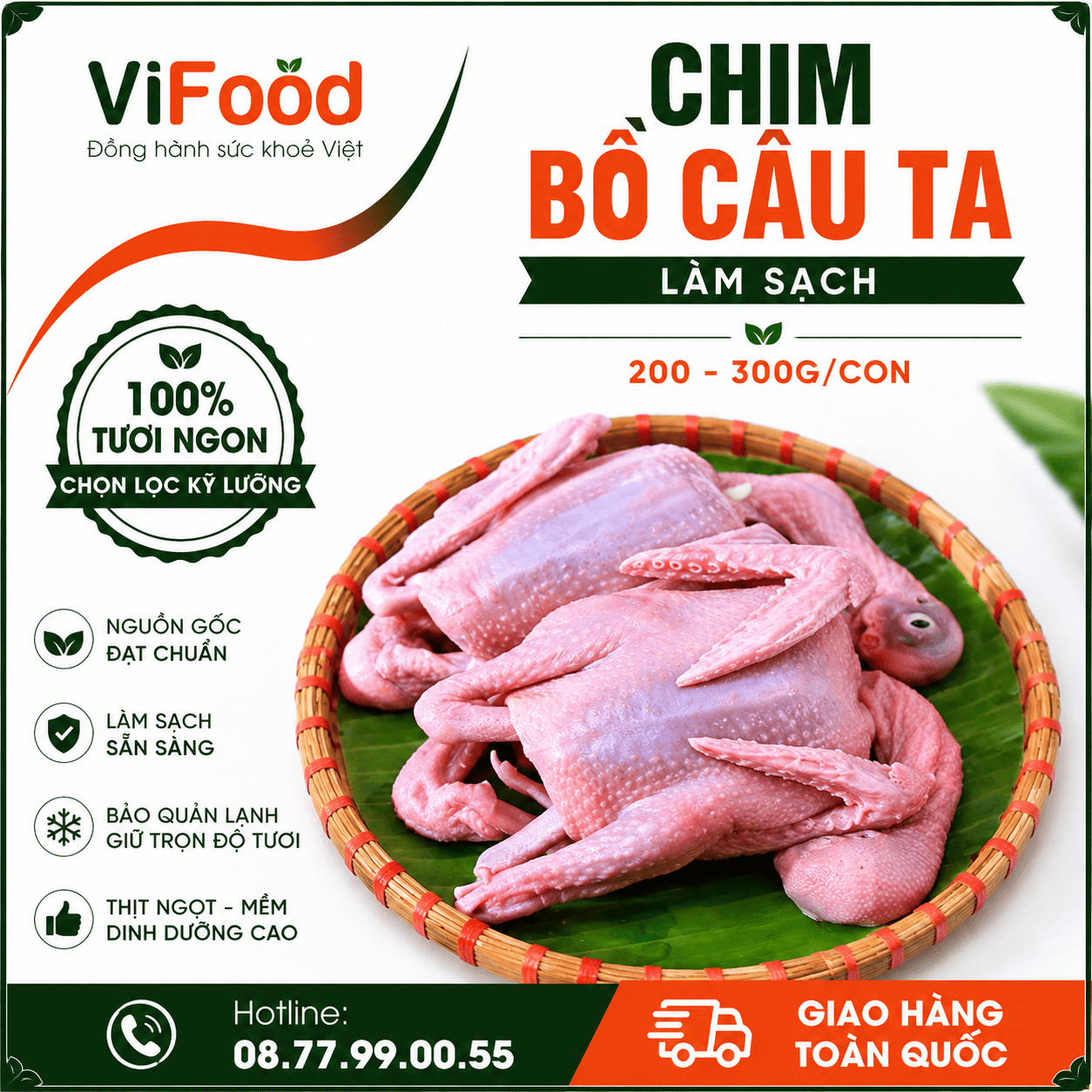 Chim bồ câu ta làm sạch 200-300 gr/con