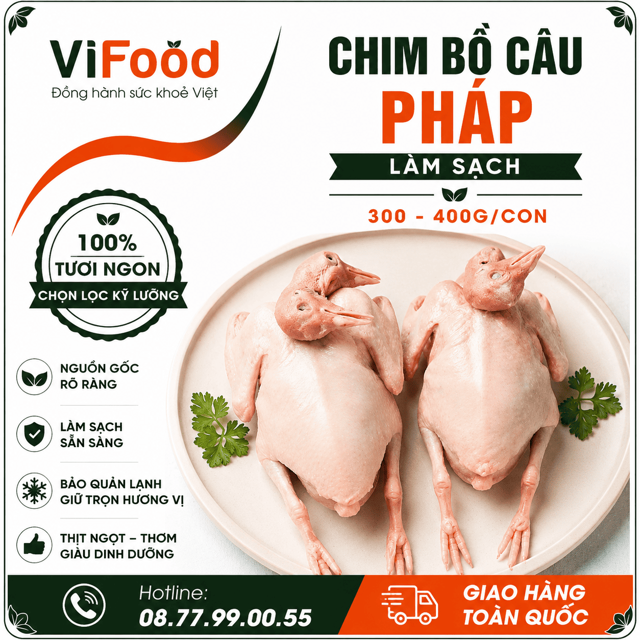 Chim bồ câu pháp làm sạch 300-400 gr/con