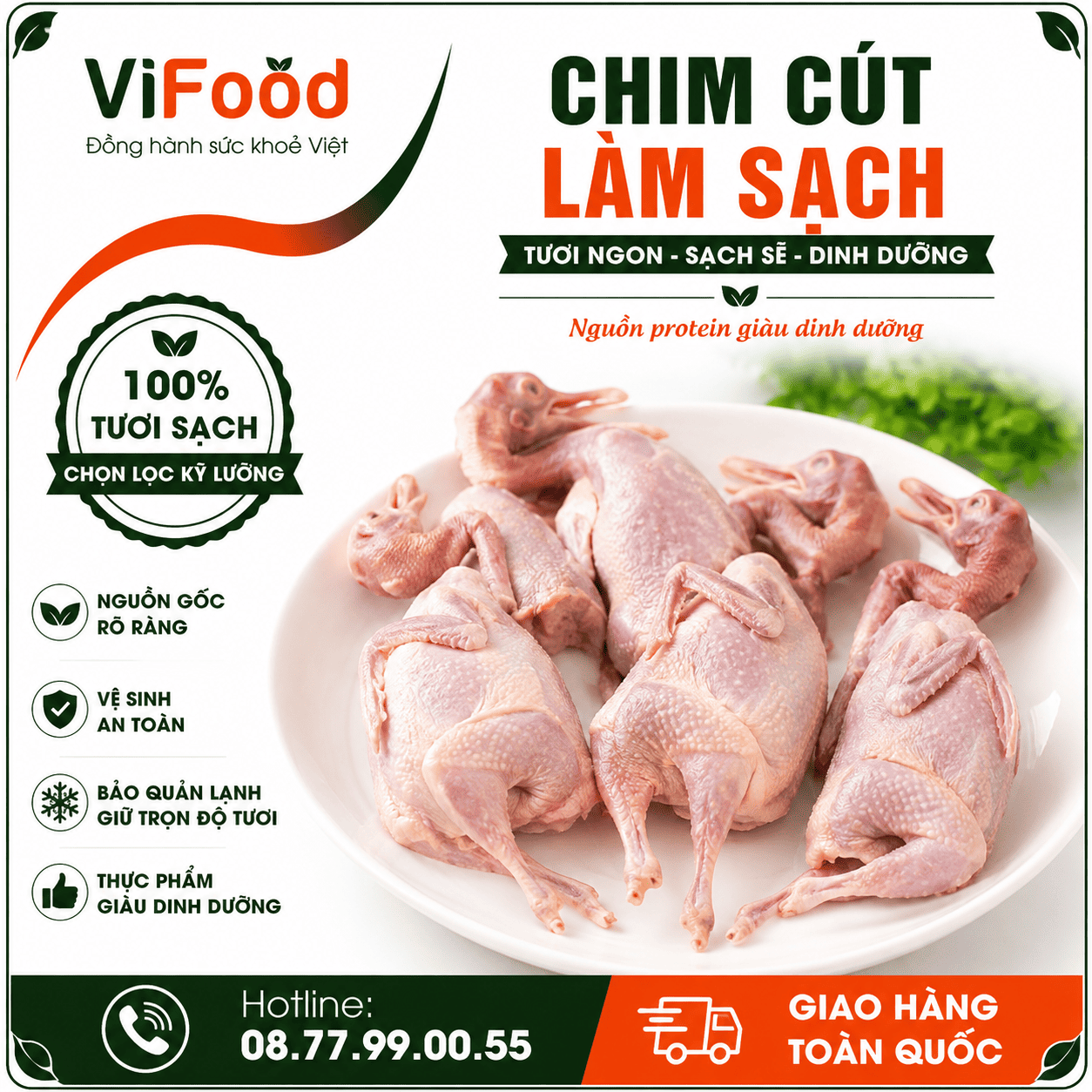 Chim cút làm sạch