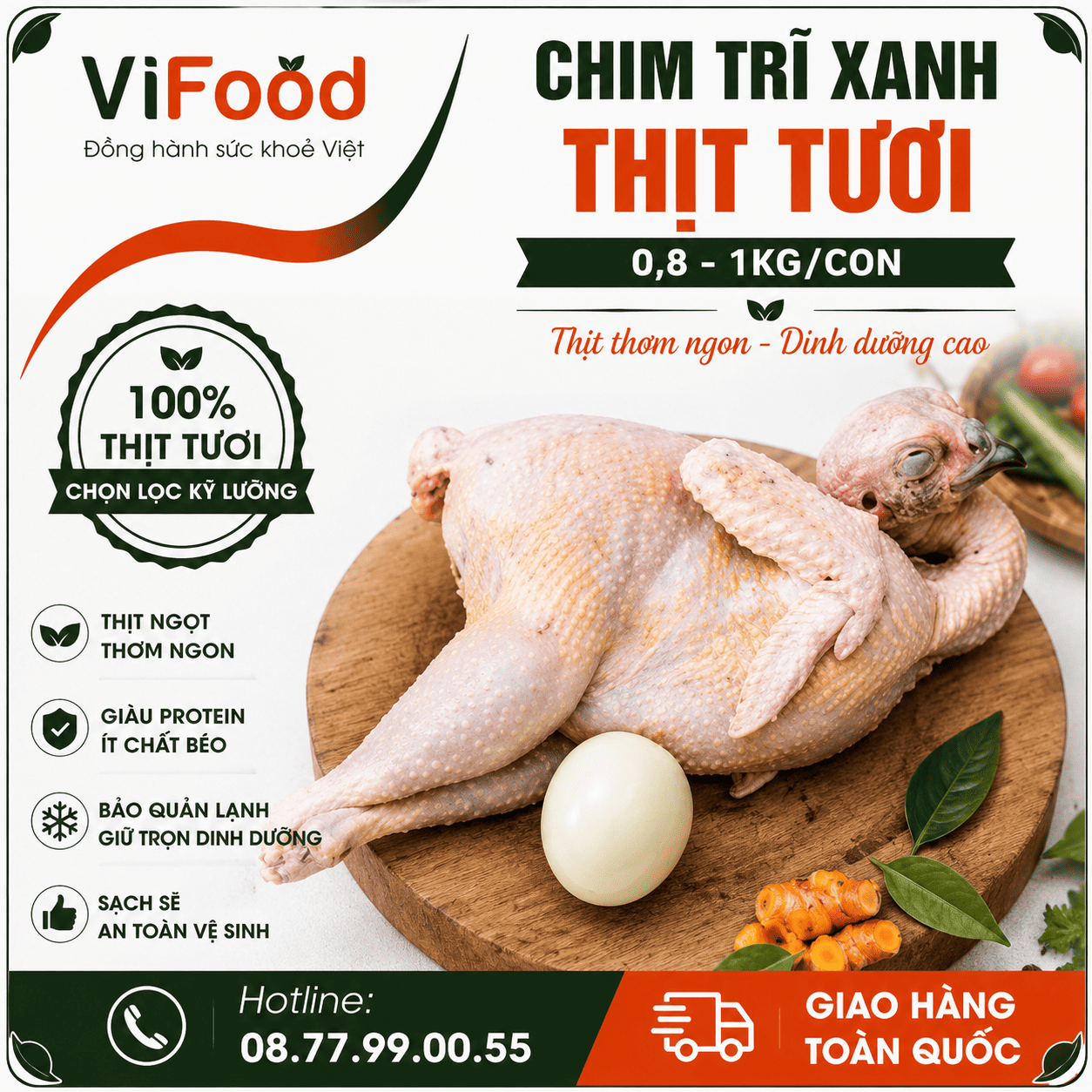 Chim trĩ xanh thịt 0,8-1kg/con