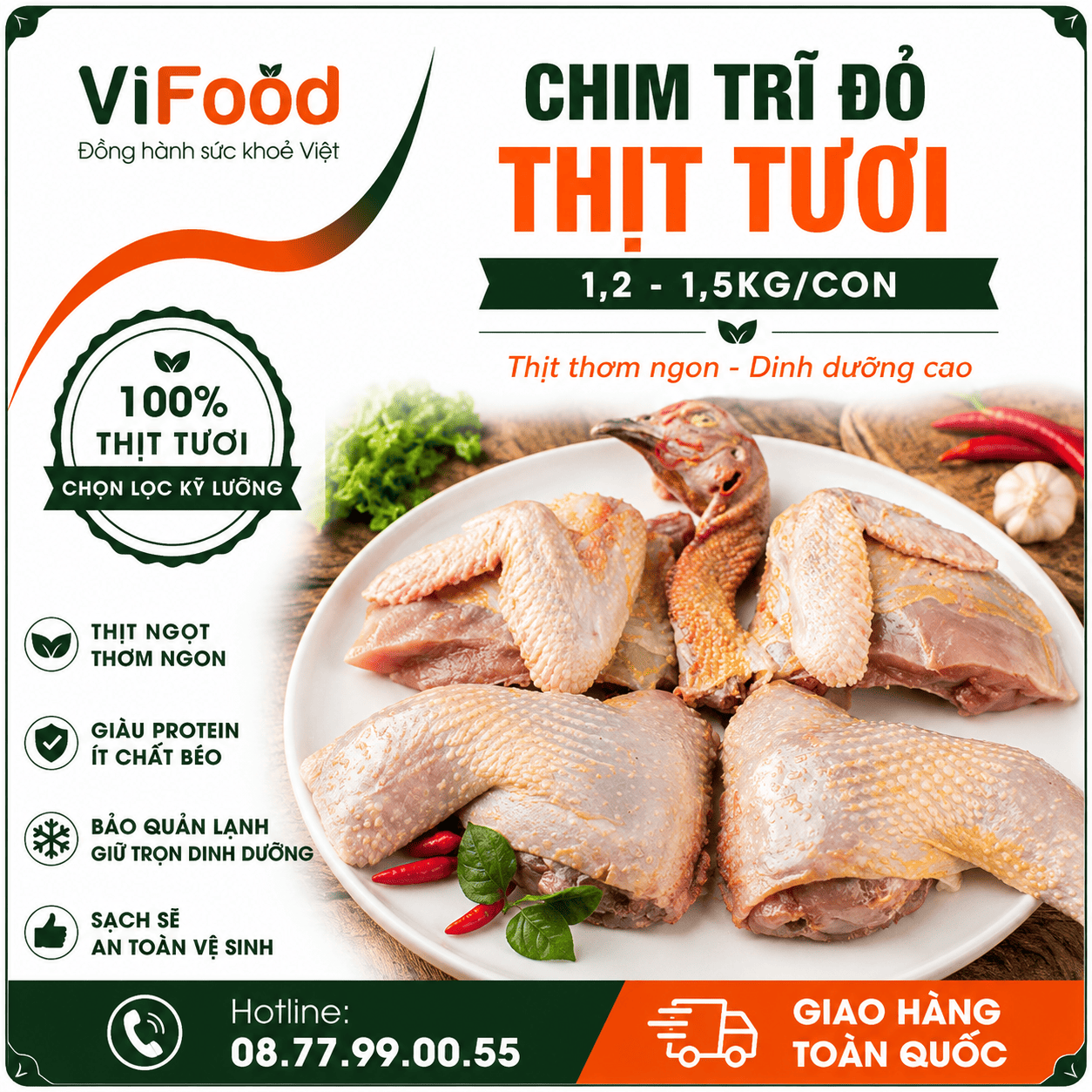 Chim trĩ đỏ thịt 1,2-1,5 kg/con