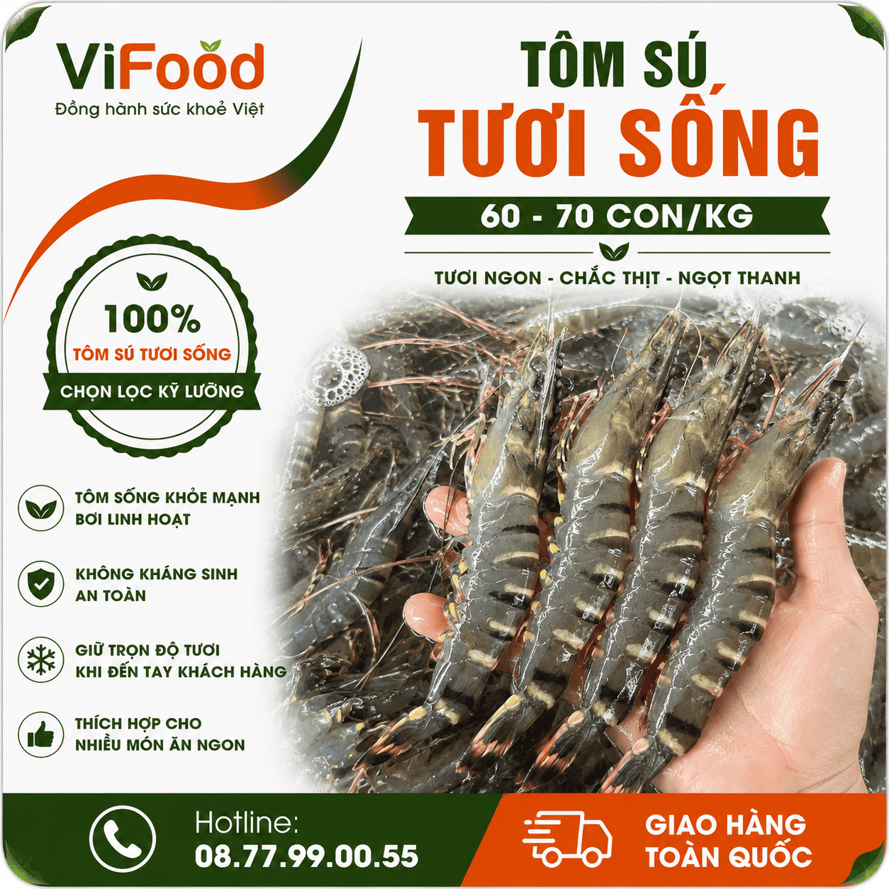 Tôm sú tươi sống size 60-70 con/kg