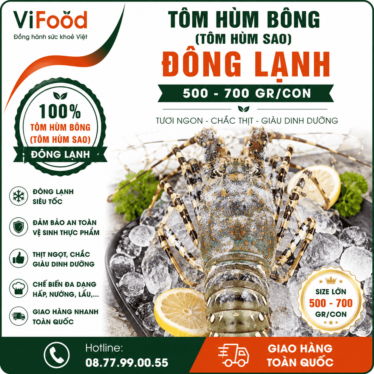 Tôm hùm bông (tôm hùm sao) đông lạnh 500-700 gr/con