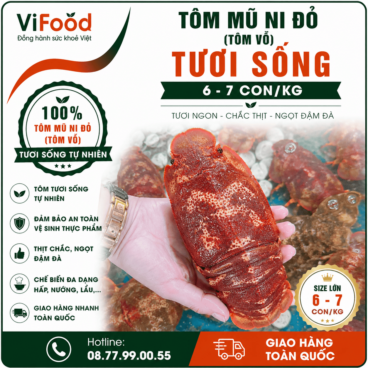 Tôm mũ ni đỏ (tôm vỗ) tươi sống 6-7 con/kg