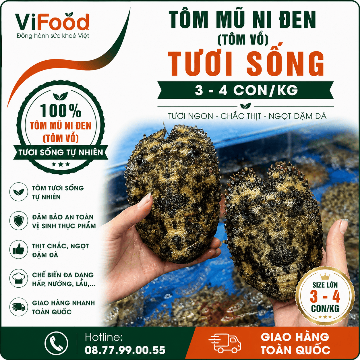 Tôm mũ ni đen (tôm vỗ) tươi sống 3-4 con/kg