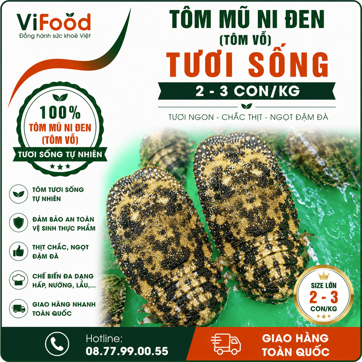 Tôm mũ ni đen (tôm vỗ) sống 2-3 con/kg