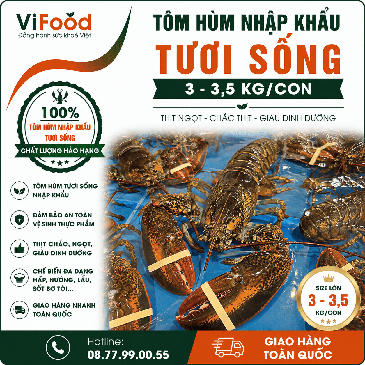 Tôm hùm nhập khẩu tươi sống 3-3,5 kg/con
