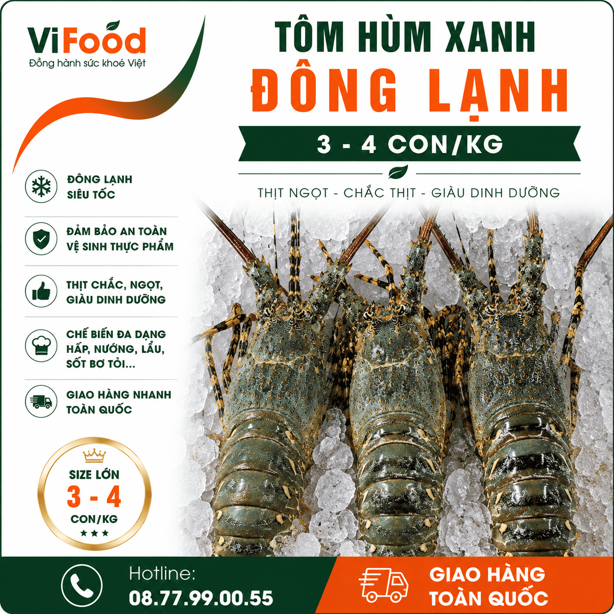 Tôm hùm xanh tươi sống . 500-700 gr/con