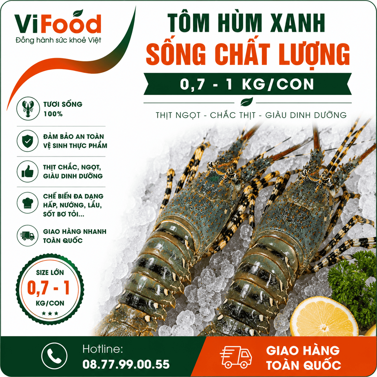 Tôm hùm xanh sống chất lượng 0,7-1 kg/con