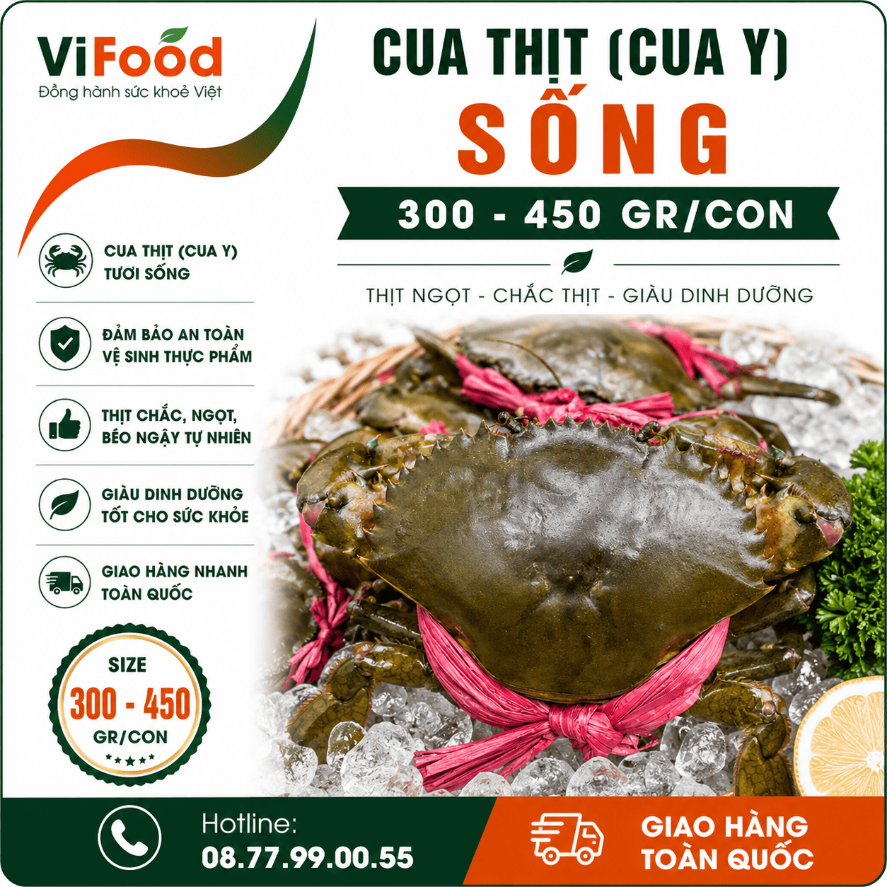 Cua thịt (cua Y) sống 300-450 gr/con