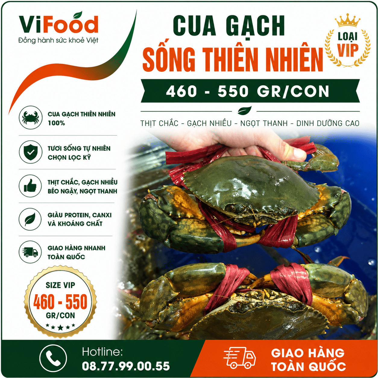Cua gạch sống thiên nhiên loại VIP 460-550 gr/con