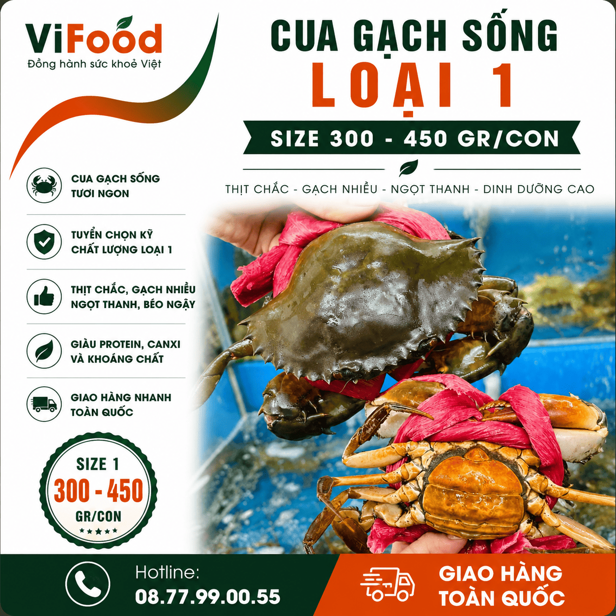 Cua gạch sống loại 1 size 300-450 gr/con