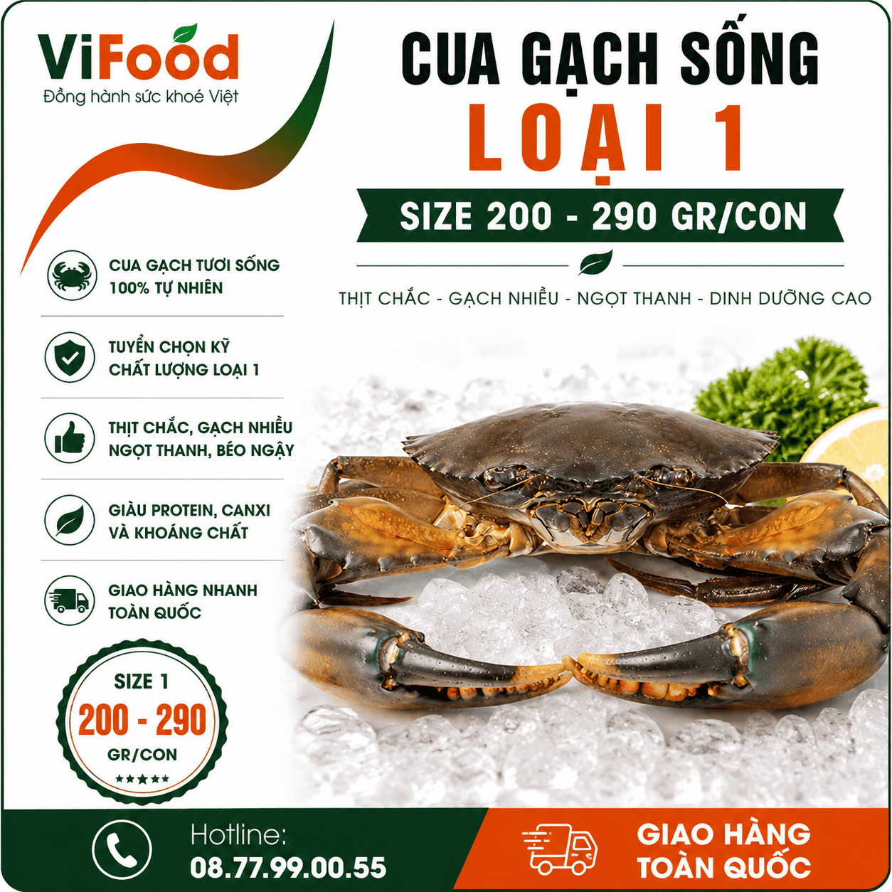 Cua gạch sống loại 1 size 200-290 gr/con