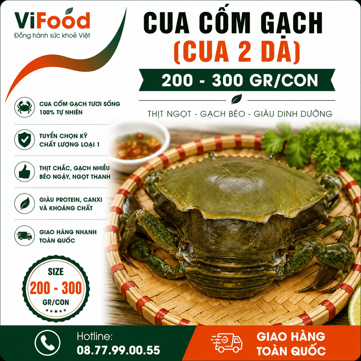 Cua cốm gạch (cua 2 da) 200-300 gr/con