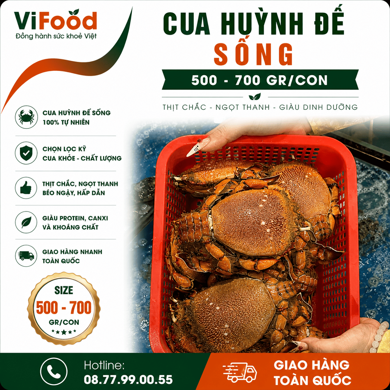 Cua huỳnh đế sống 500-700 gr/con