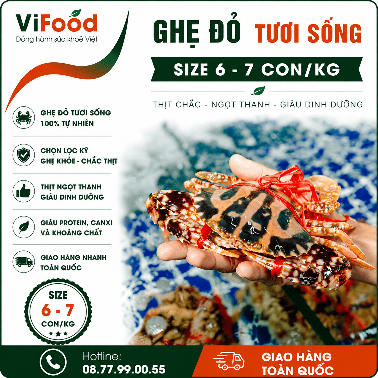 Ghẹ đỏ sống  size 6-7 con/kg