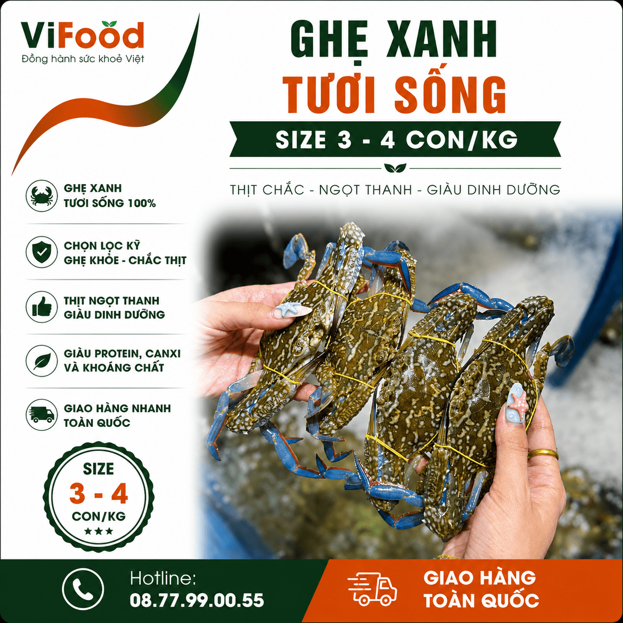 Ghẹ xanh sống size 3-4 con/kg