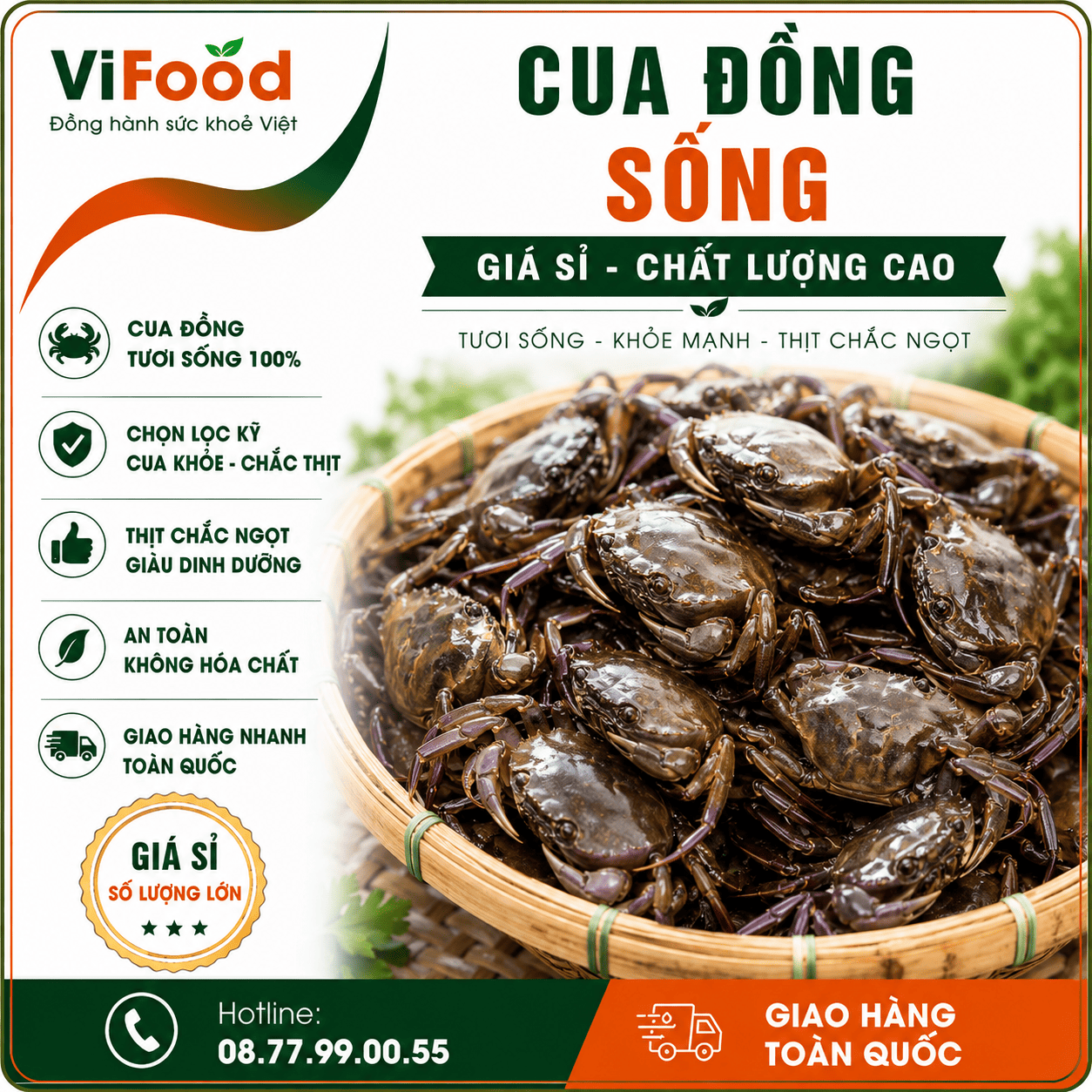Cua đồng sống giá sỉ