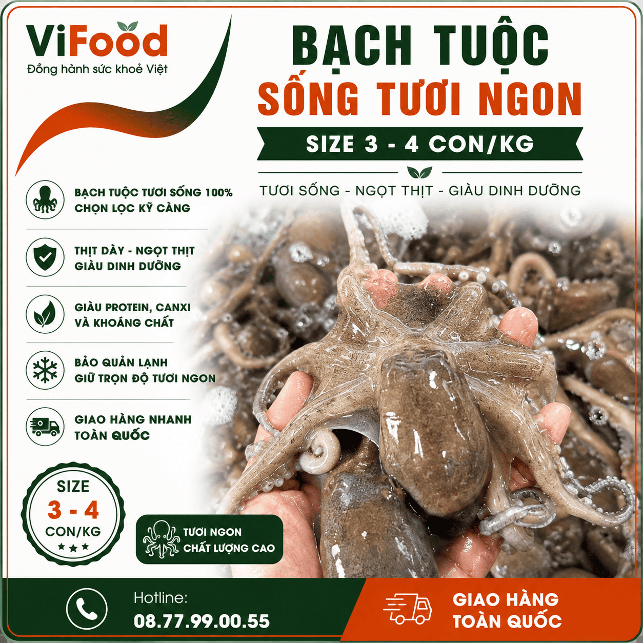 Bạch tuộc sống tươi ngon 3-4 con/kg