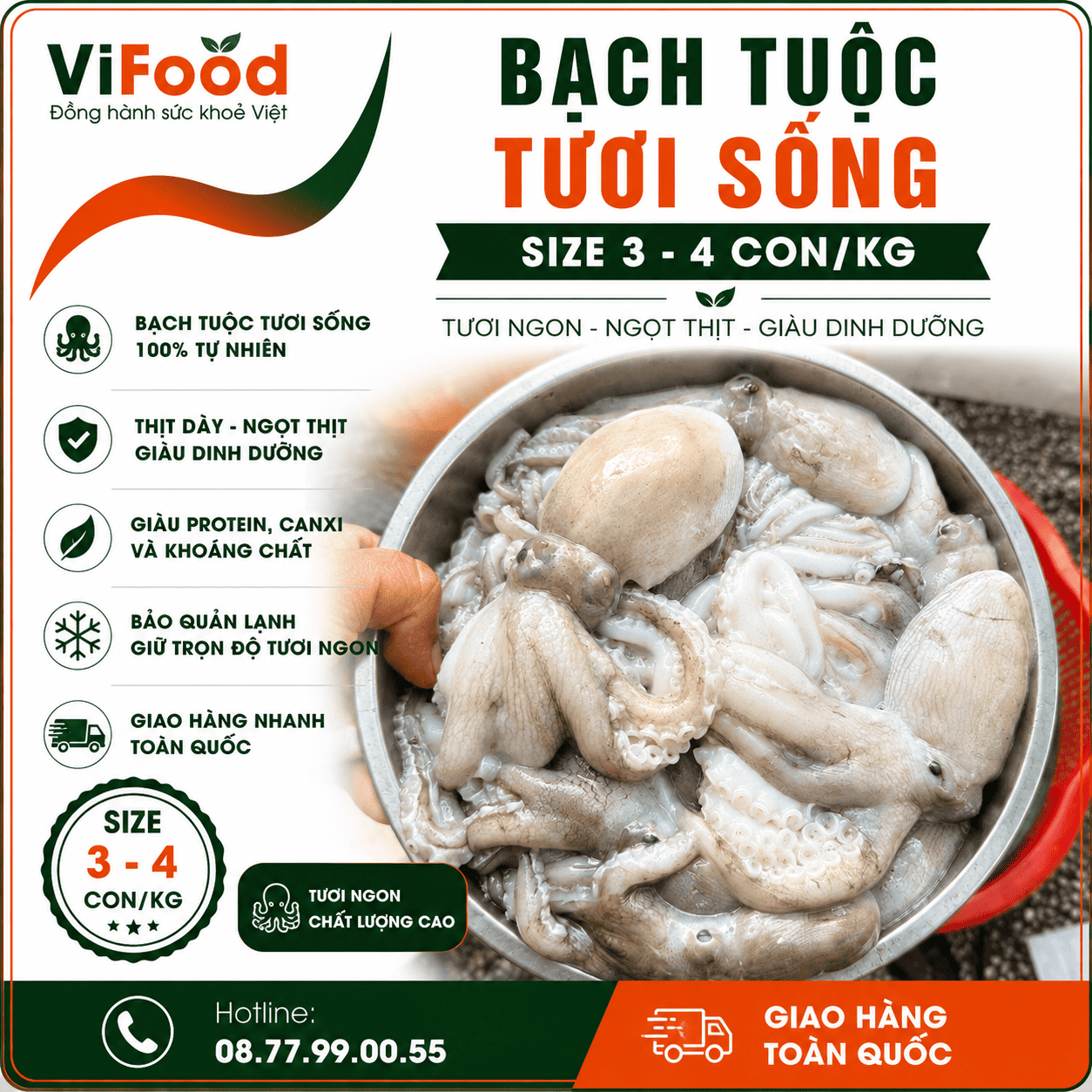 Bạch tuộc sống tươi ngon 3-4 con/kg