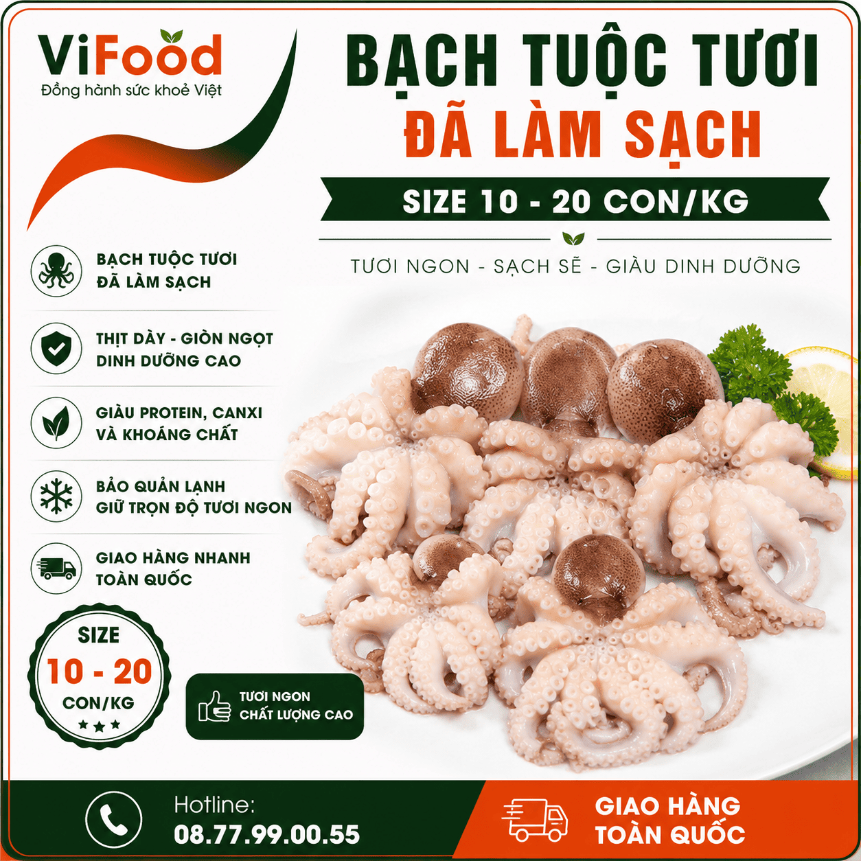  Bạch tuộc tươi đã làm sạch 10-20 con/kg