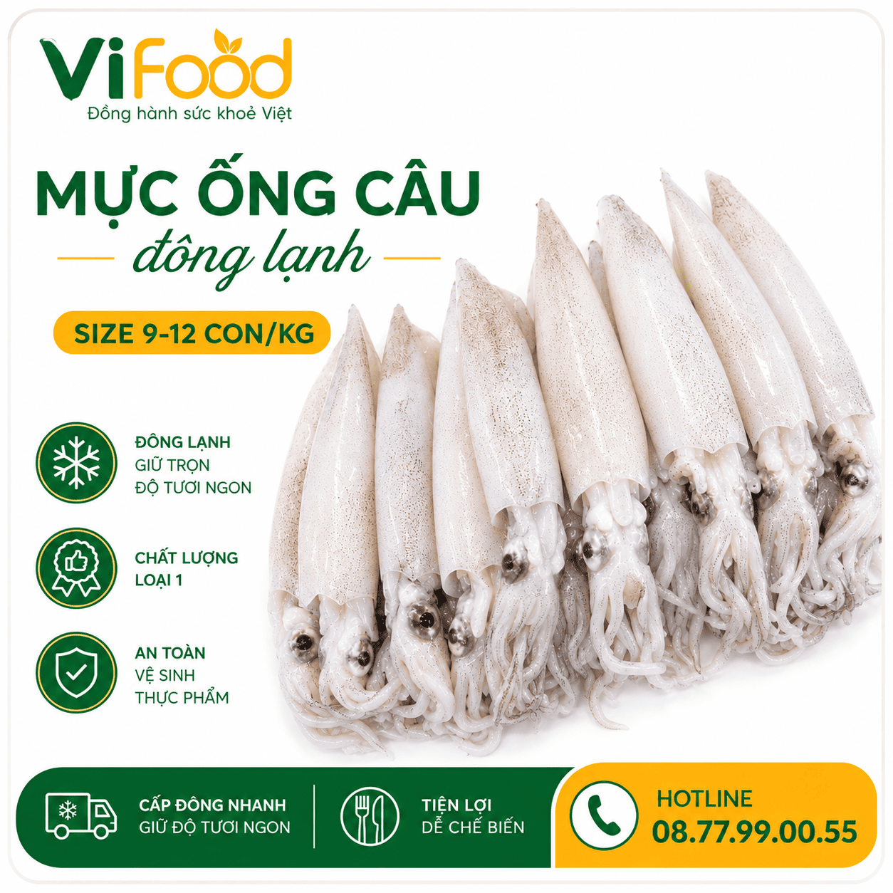Mực ống câu đông lạnh 9-12 con/kg