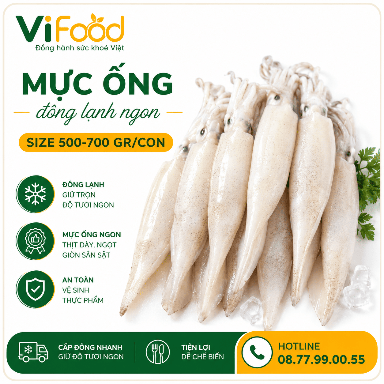 Mực ống đông lạnh ngon size 500-700 gr/con