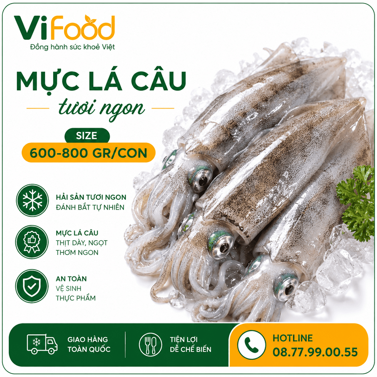 Mực lá câu tươi ngon 600-800 gr/con