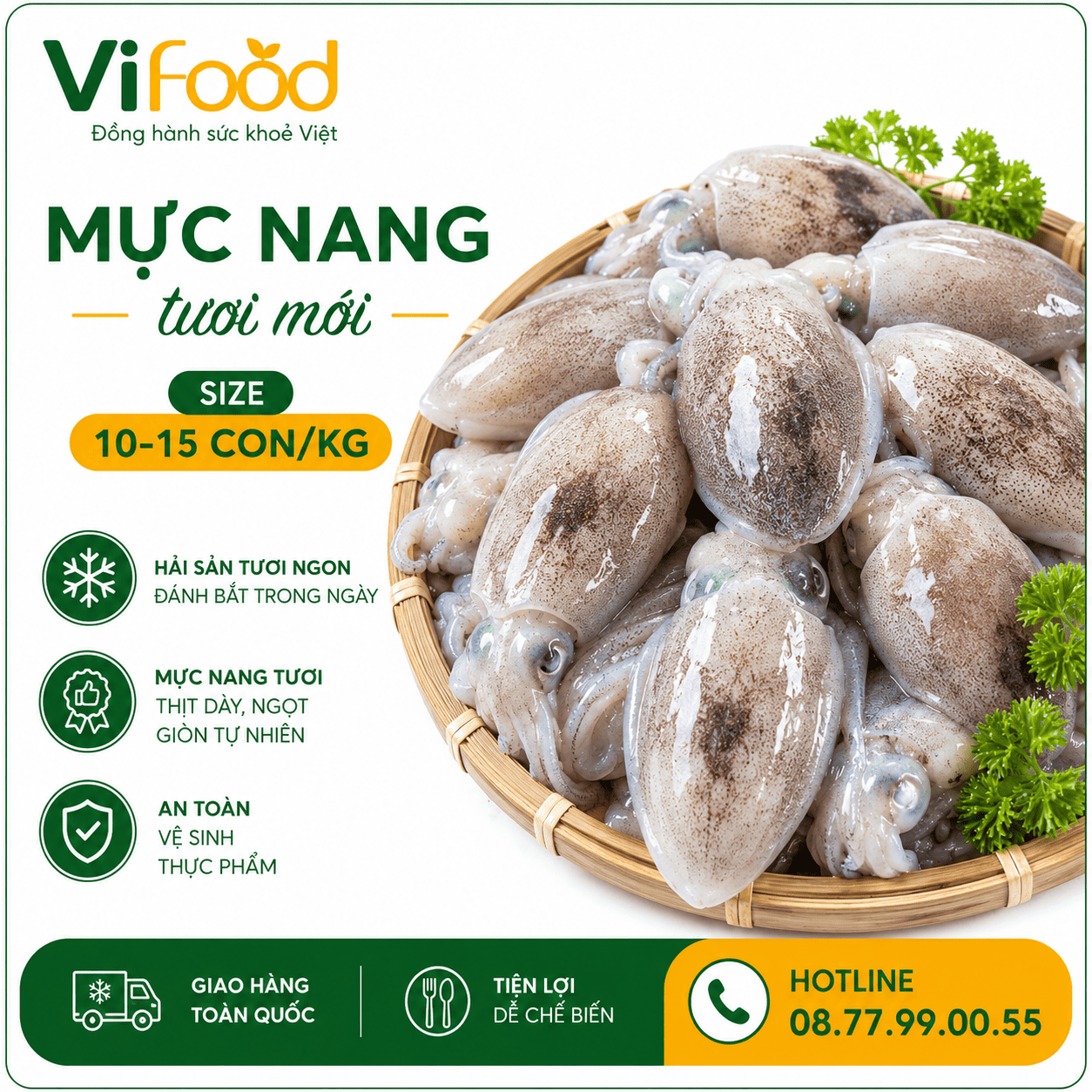 Mực nang tươi mới 10-15 con/kg