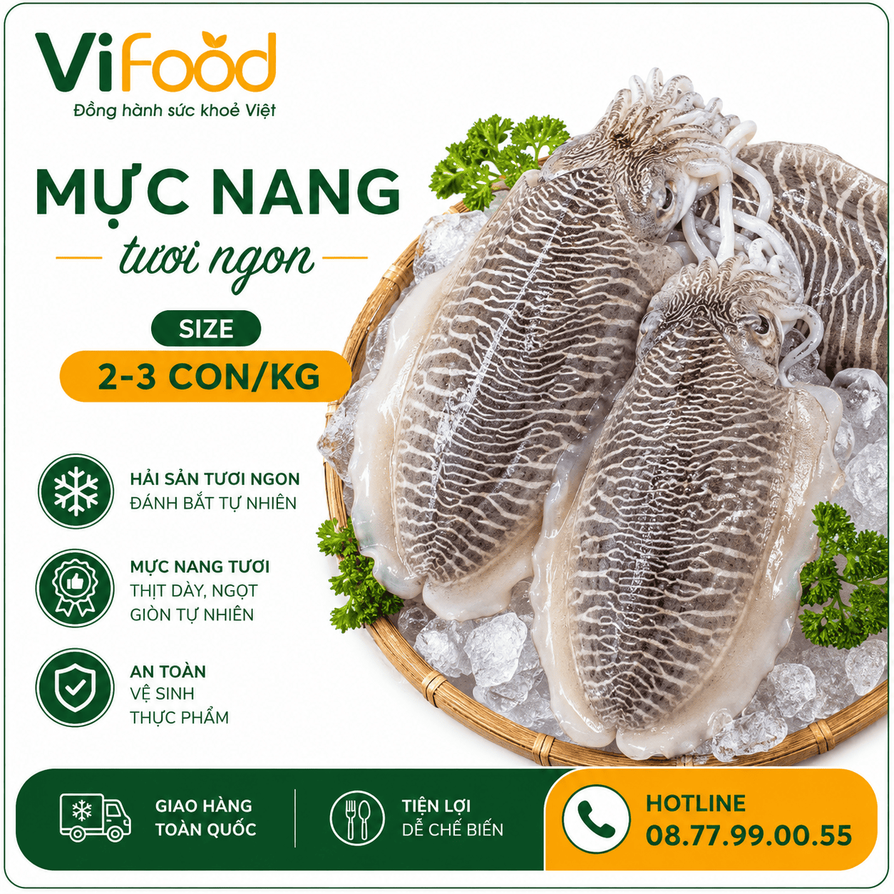 Mực nang tươi size 2-3 con/kg