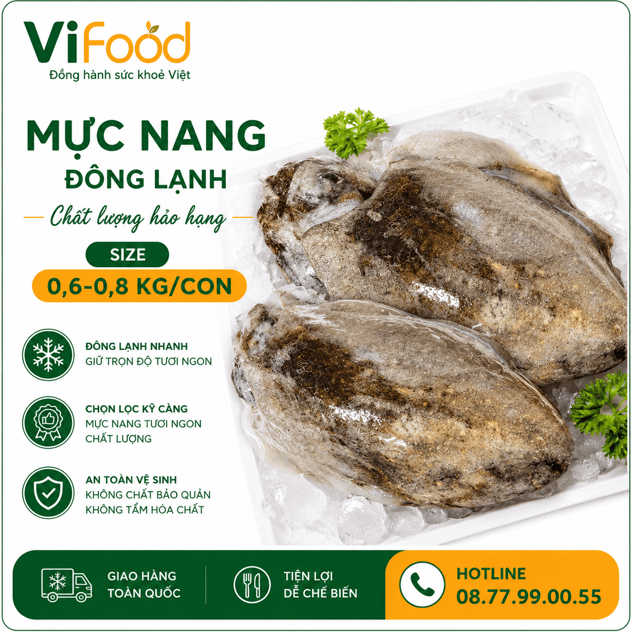 Mực nang đông lạnh 0,6-0,8 kg/con